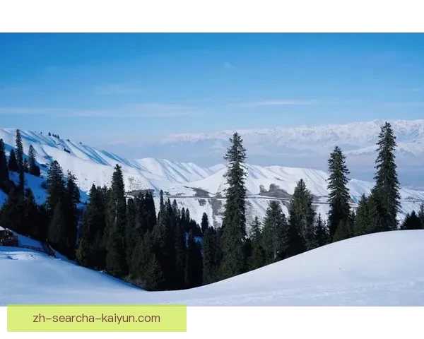 冬季奥运会:冰雪之上的激情与梦想,凝聚全球力量展现体育精神 冬季奥运会:冰雪之上的激情与梦想,凝聚全球力量展现体育精神